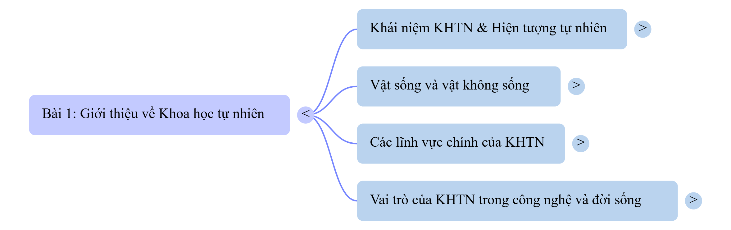 Sơ đồ tư duy